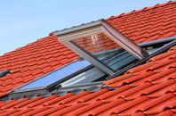 Fasach roof window